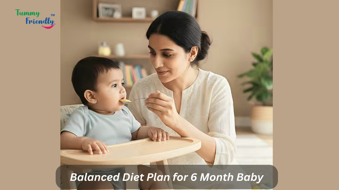 baby food for 6 month baby