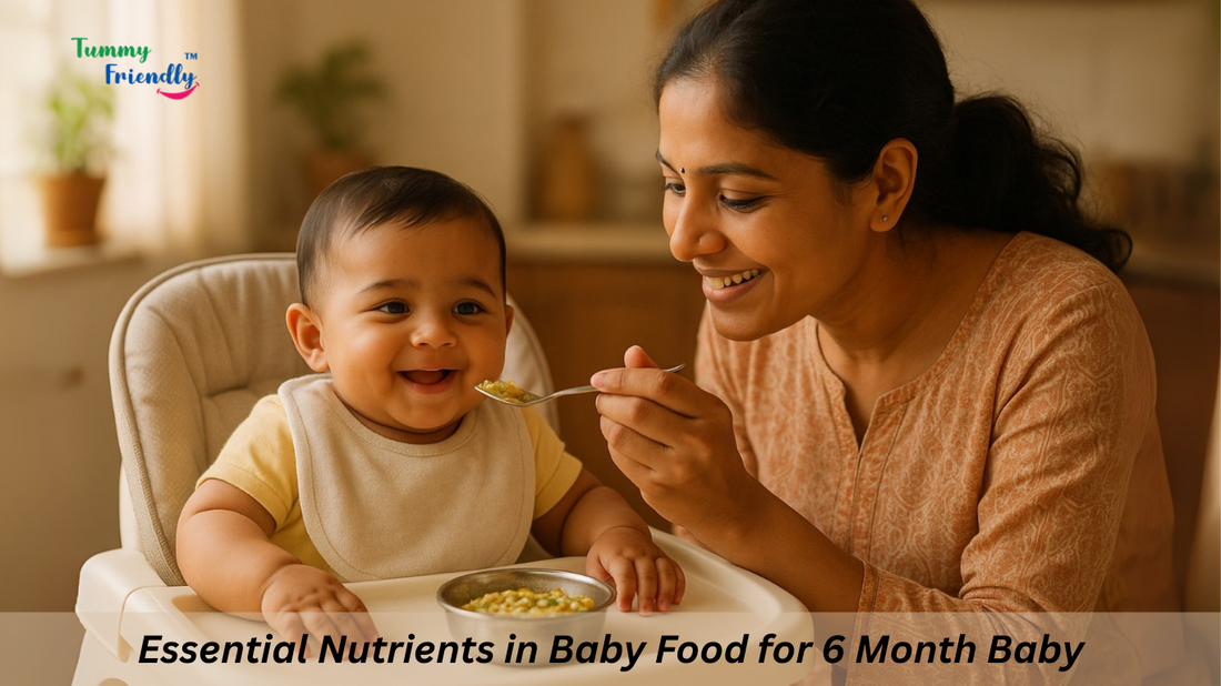 baby food for 6 month baby