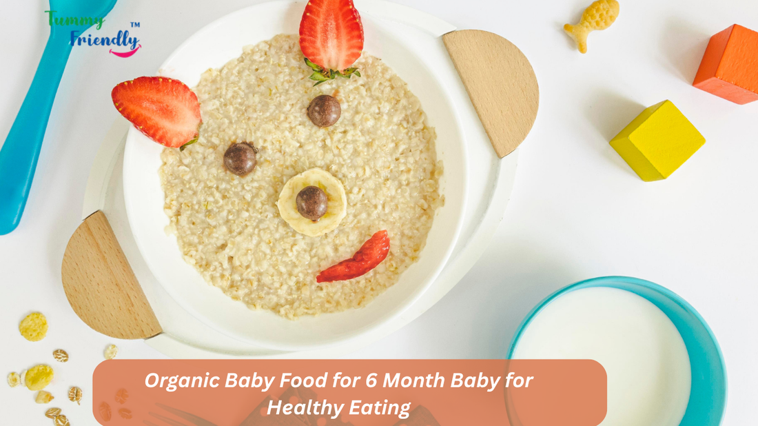 baby food for 6 month baby
