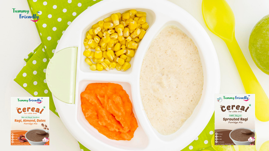 Best Organic Baby Food India