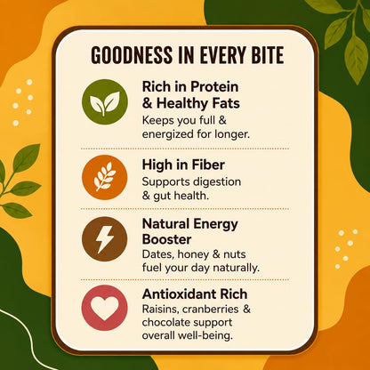 Dry Fruit Bars pack of 4 – goodness in every bite