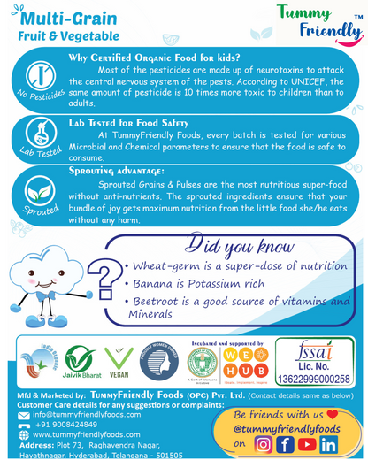 Organic Sprouted Multi Grain Fruit Vegetable Porridge Mix